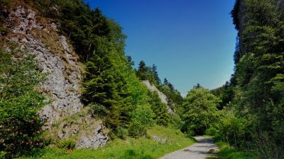 Wąwóz Szopczański